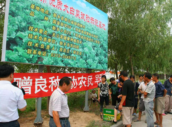 新乡县朗公庙优质大白菜试验示范基地