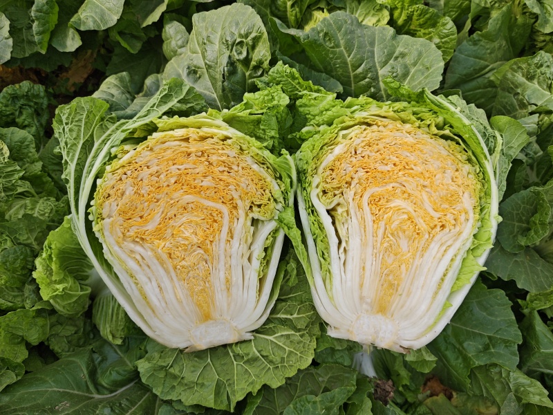 红心小包