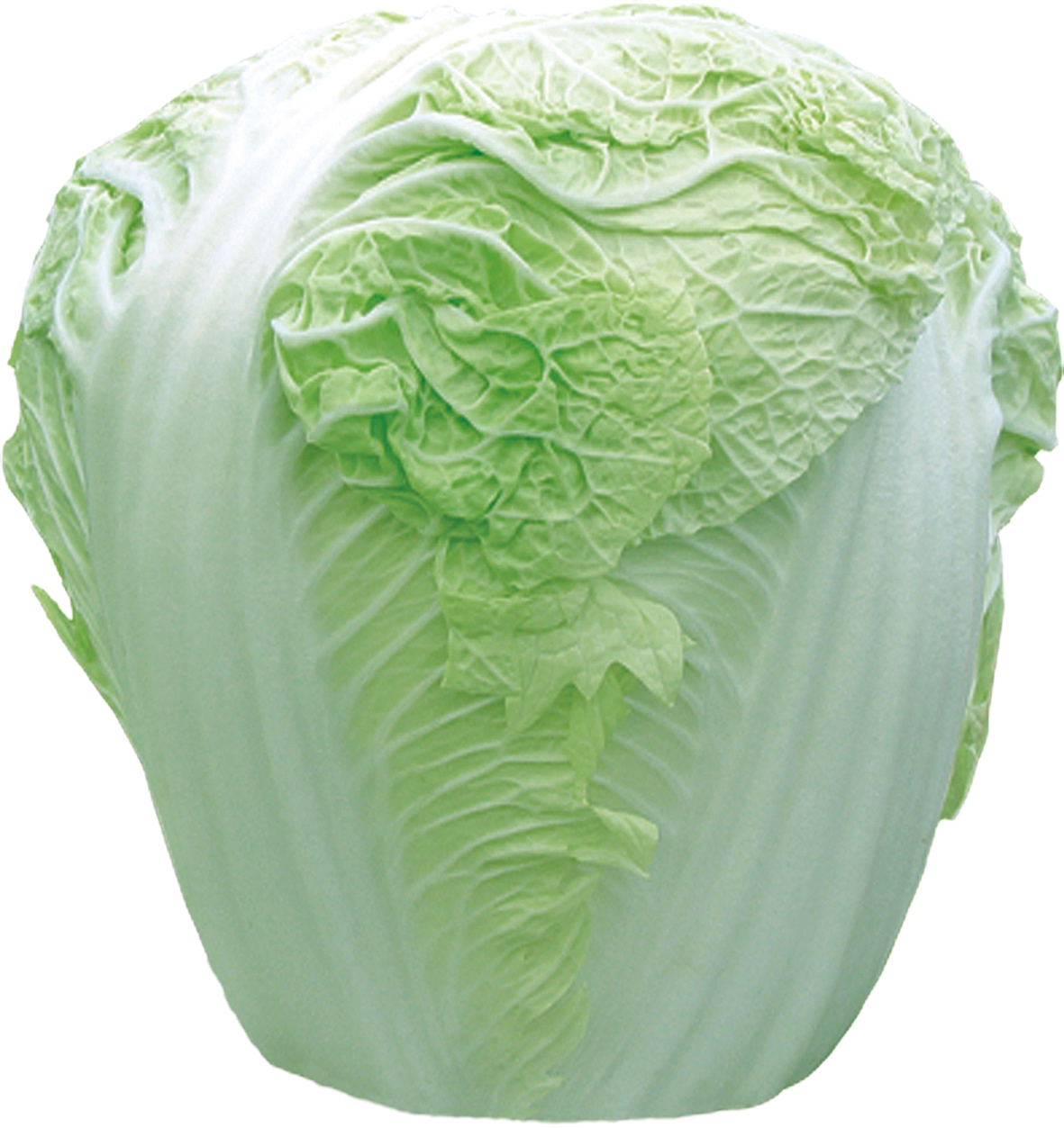 新中78   