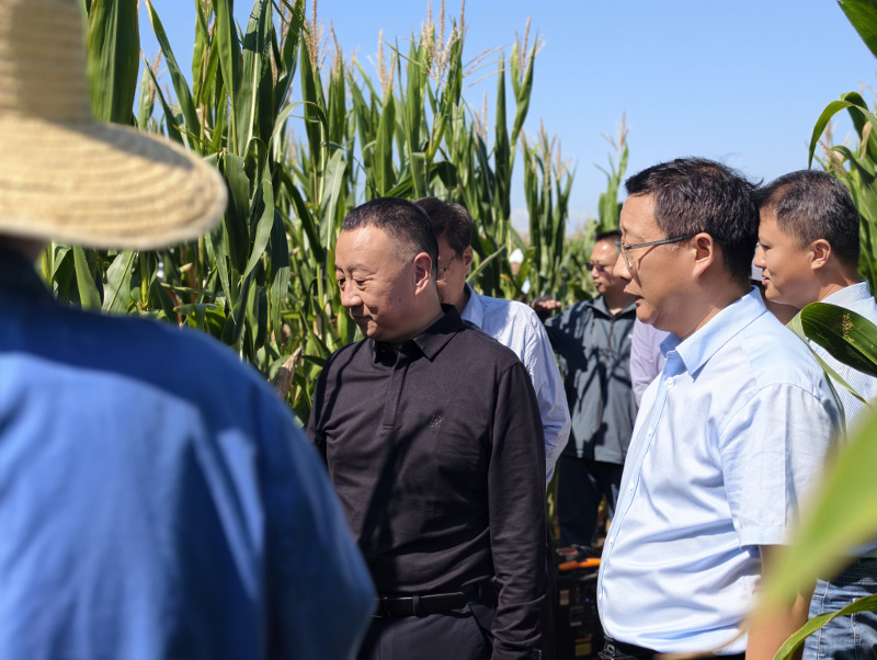 深入贯彻落实市第十三次党代会精神——我院成功召开秋季观摩暨工作汇报推进会