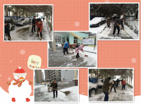 团结互助 扫去寒冬——市农科院全力做好冬季扫雪除冰工作354