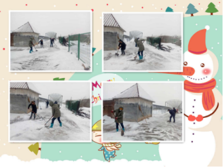 团结互助 扫去寒冬——市农科院全力做好冬季扫雪除冰工作360
