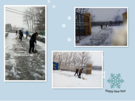 团结互助 扫去寒冬——市农科院全力做好冬季扫雪除冰工作366