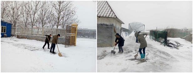 志愿清扫积雪简报213