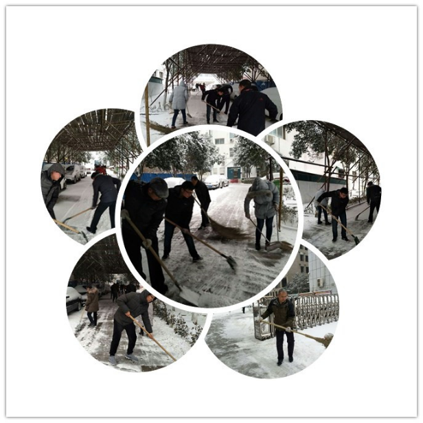 志愿清扫积雪简报286