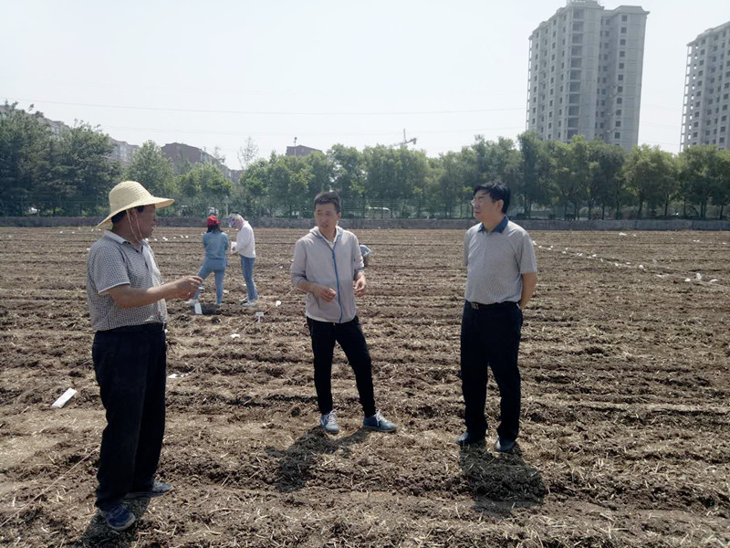 微信图片_20180612102624_副本