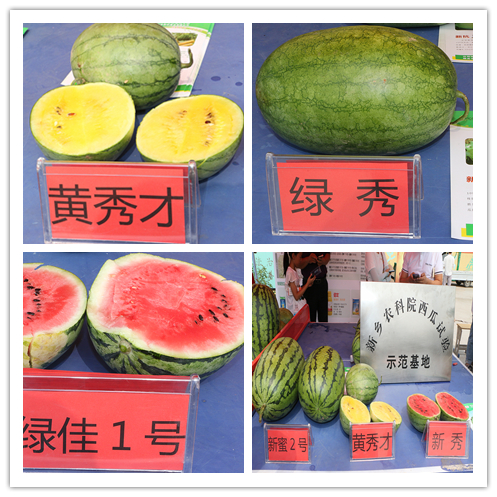 IMG_7123_副本_副本_副本