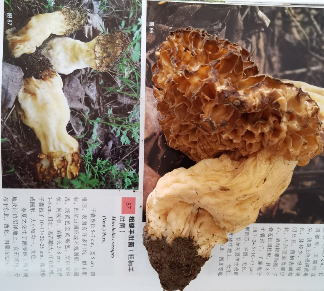 图片14