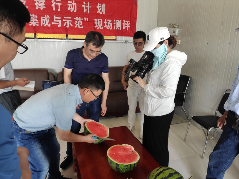 14.西瓜测产