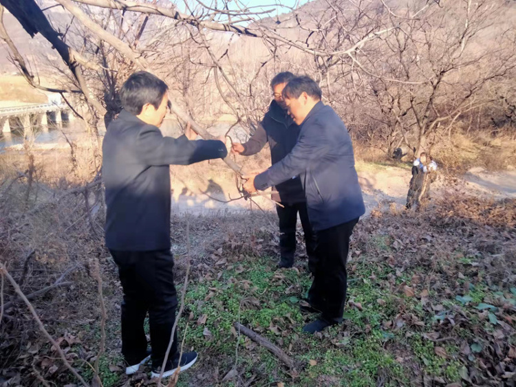 杨院采集