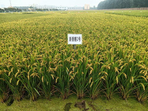 微信图片_20260104160732