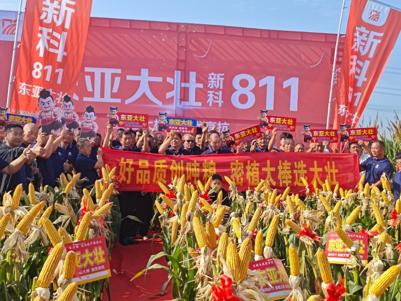 非原图